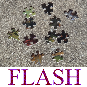 A Flash Based Dynamic Puzzle Generator