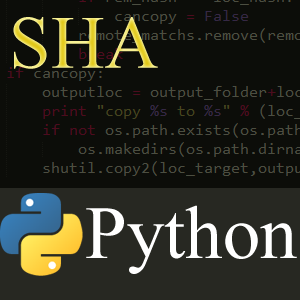 Using Python to Make File Copying More Useful